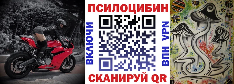 MEGA зеркало  цена   Куртамыш  Галлюциногенные грибы Psilocybine cubensis 